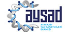 Web Tasarım - Referans